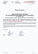REACH - Compliance - SCHNEEBERGER AG, Regulation (EC) No 1907/2006, English