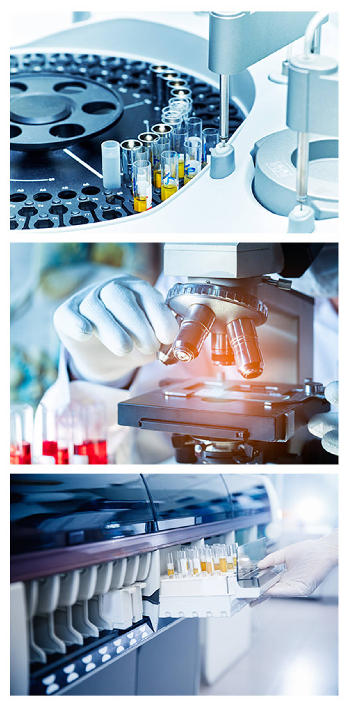 Laboratory automation SCHNEEBERGER