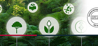 Sustainability strategy with substantial content: